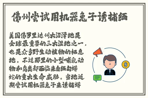 夹心饼干前后夹击